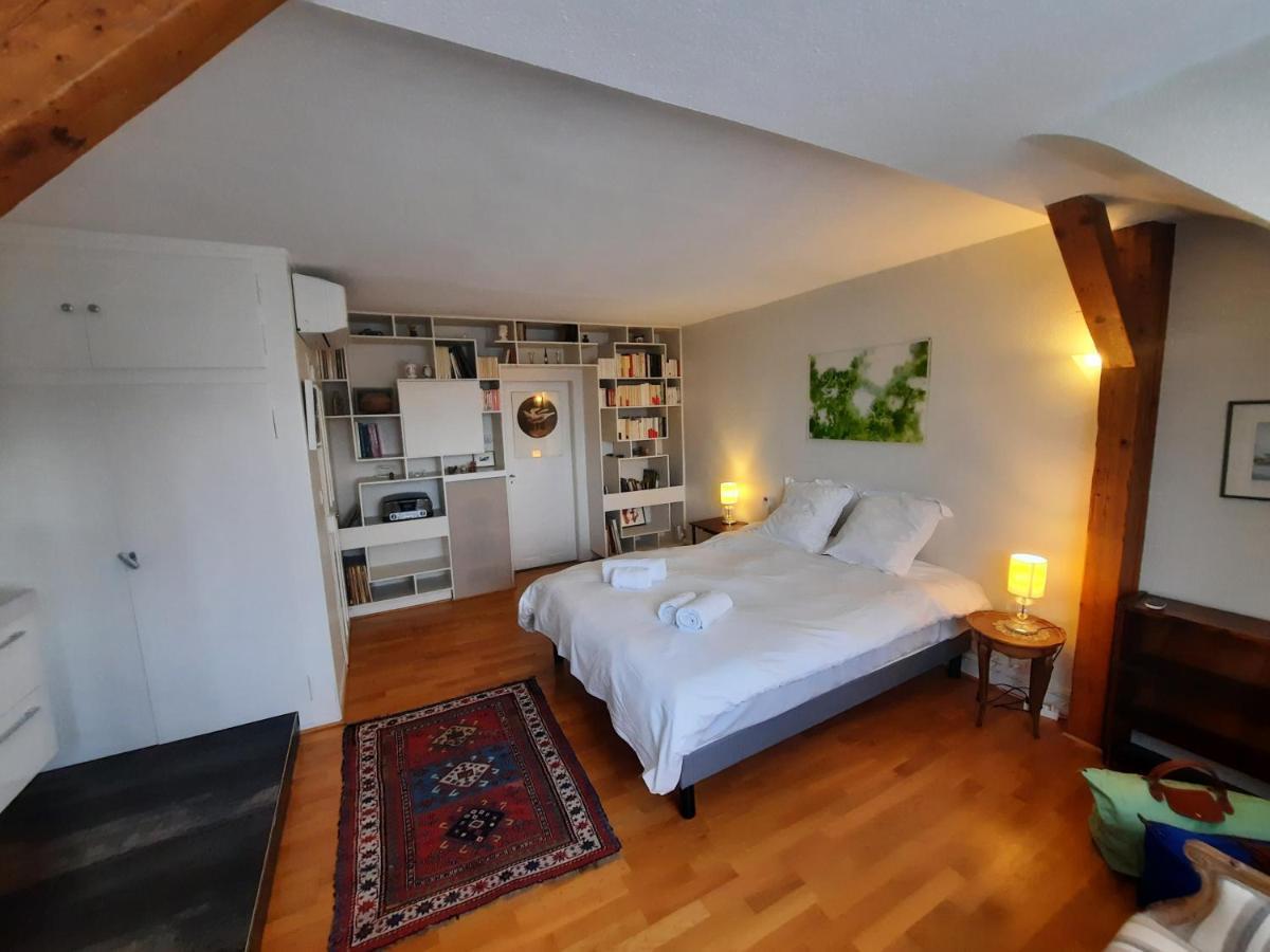145M² City Center 4 Bedrooms View Of The Cathedral Strasbourg Exterior foto